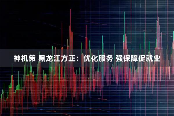 神机策 黑龙江方正：优化服务 强保障促就业