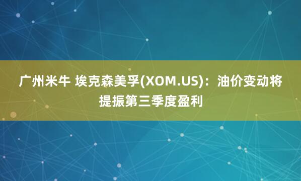 广州米牛 埃克森美孚(XOM.US)：油价变动将提振第三季度盈利