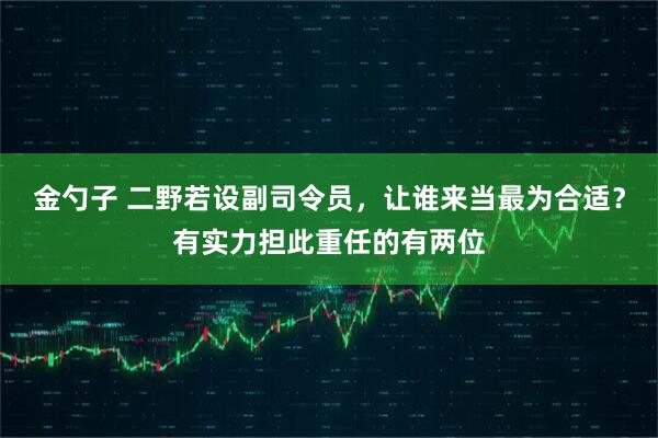 金勺子 二野若设副司令员，让谁来当最为合适？有实力担此重任的有两位